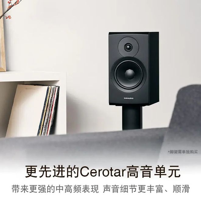 ：聆听天籁之音尽享音乐盛宴龙8体育入口十大音响品牌(图1)