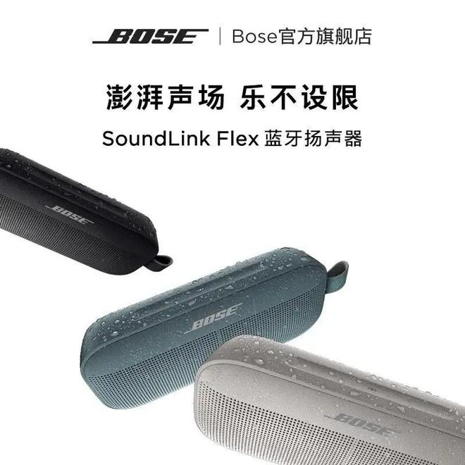 ：聆听天籁之音尽享音乐盛宴龙8体育入口十大音响品牌(图8)