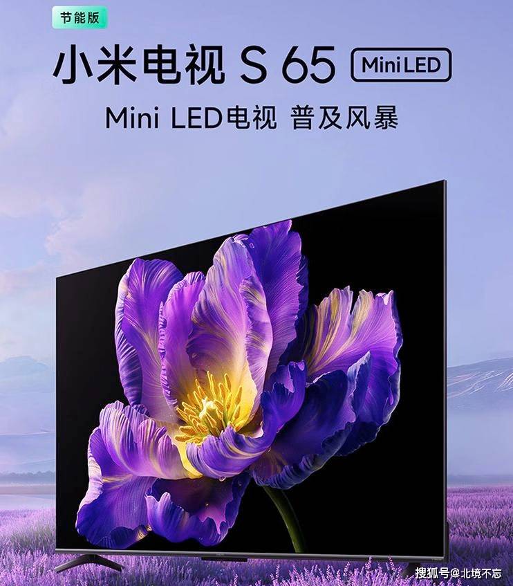 ED电视的区别内行人道出实情选择一目了然long8唯一登录MiniLED电视和L(图2)